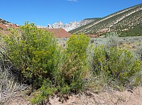 Dinosaur national park (19).JPG
